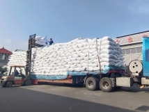 把握機遇、鉚足干勁、承勢而上