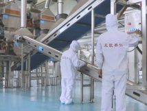 2025年的第一個月，承德亞歐果仁有限公司在山杏產業(yè)的道路上持續(xù)奮進，展現(xiàn)出蓬勃的發(fā)展活力。